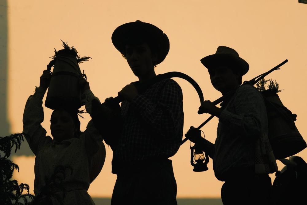 farmer shadows