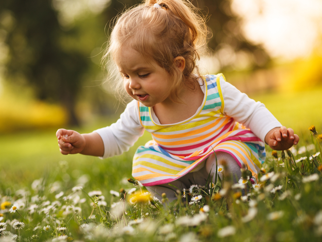 toddler in a field of flowers