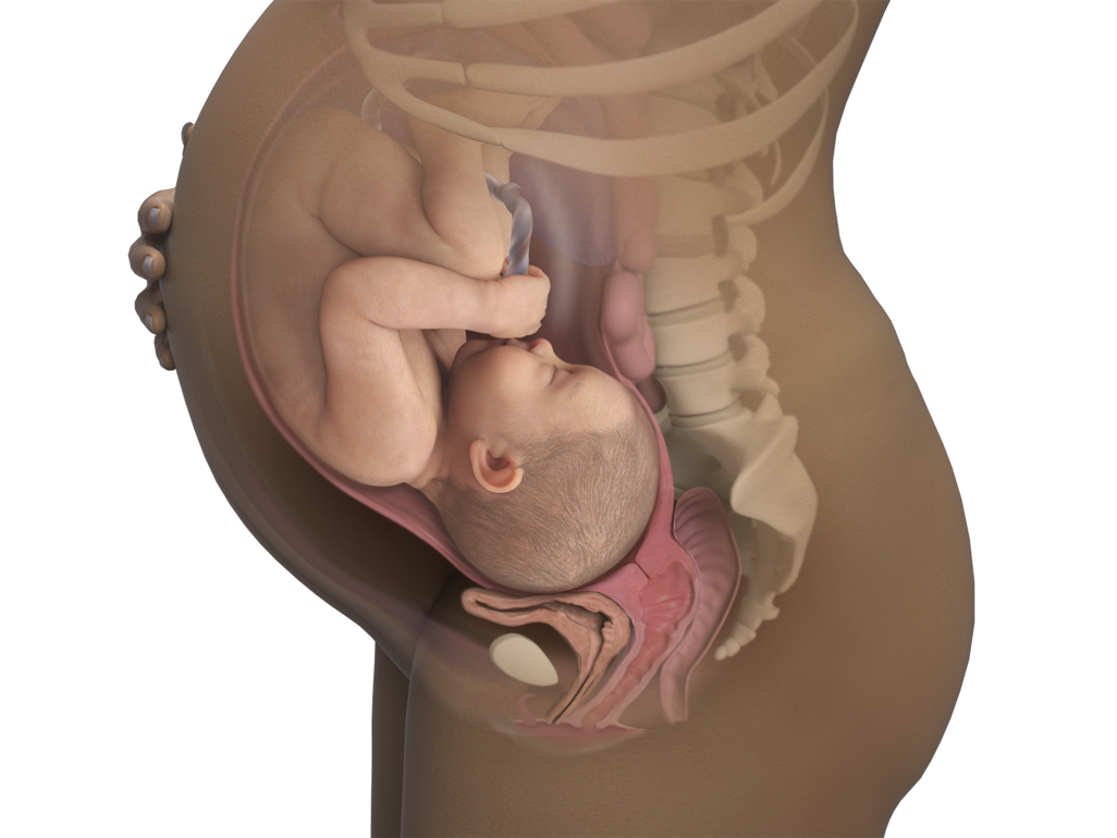 baby in utero at 41 weeks