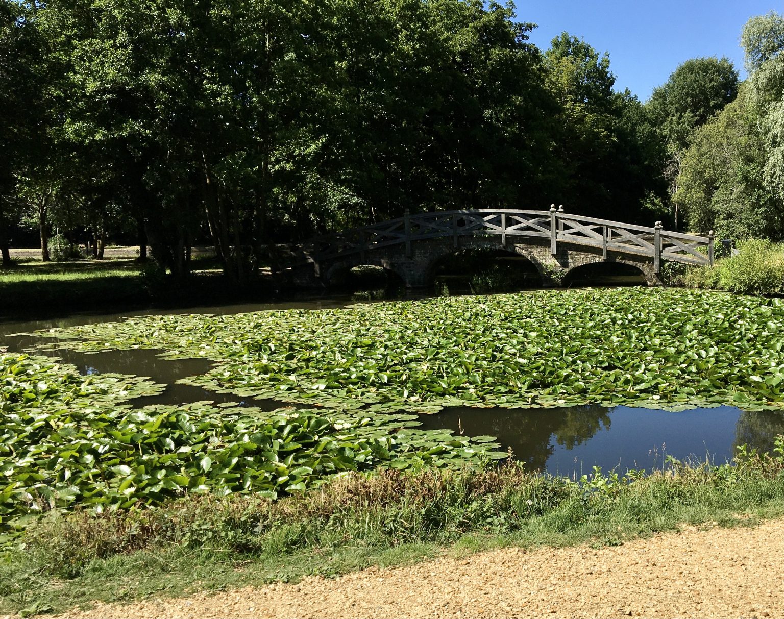 Hampshire park with wooden foot bridge and water, England. Photo contributed by webcommsat AbhaNonStopNewsUK to the WordPress Photo Directory.