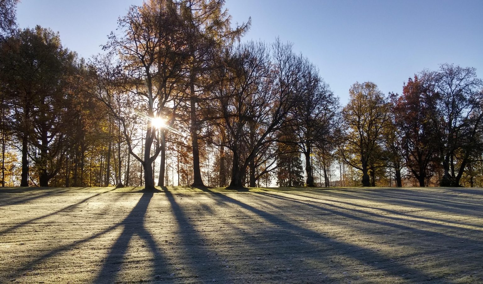 Sunlight through trees in forest scene at Aulanko, Hämeenlinna, Finland. Photo contributed by arihak to the WordPress Photo Directory. 