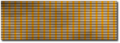 Society Ribbon.png