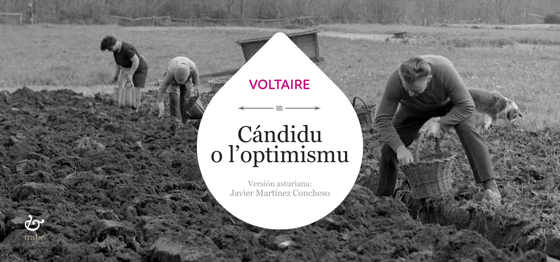 Candidu-Voltaire