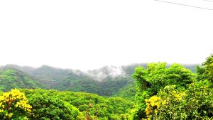 Nature Cloud, Green Trees, Hills