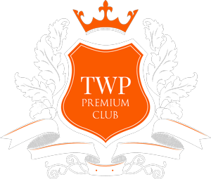 ThemeinWP INC