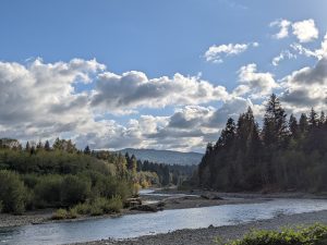 Winding river in the woods with pine trees and clouds.