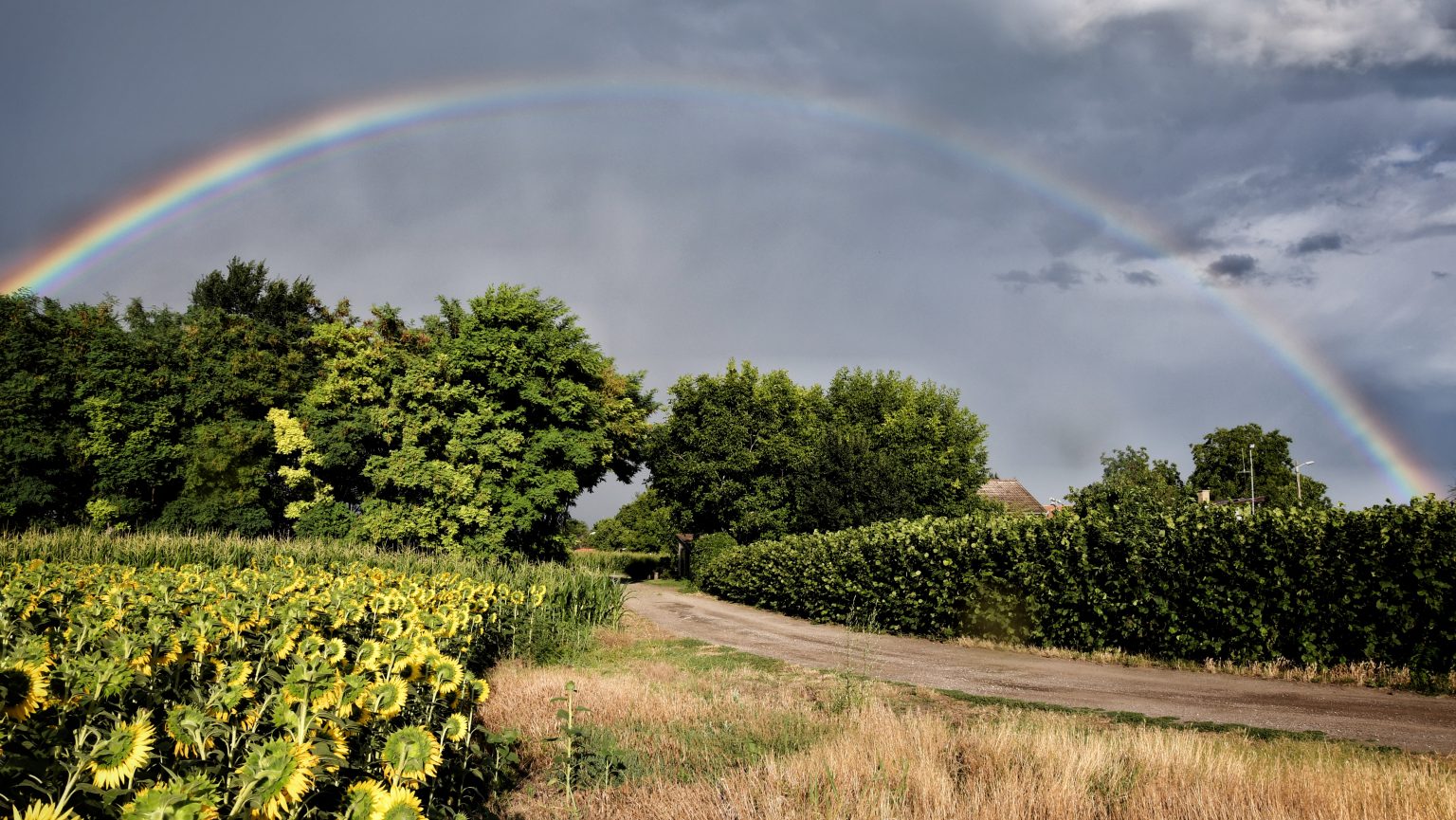 Countryside landscape in Alibunar, Serbia, with rainy sky and a rainbow. Photo contributed by Grunfi to the WordPress Photo Directory.
