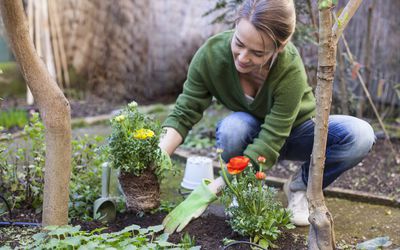 Woman planting flowers in her backyard, Rome, Italy