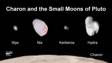 Tailles comparées des 5 satellites de Pluton : Charon (D ~ 1212 km), Hydre (L ~ 51 km), Nix (L ~ 50 km), Kerbéros (L ~ 19 km), Styx (L ~ 16 km) (sonde New Horizons, 2015, montage).