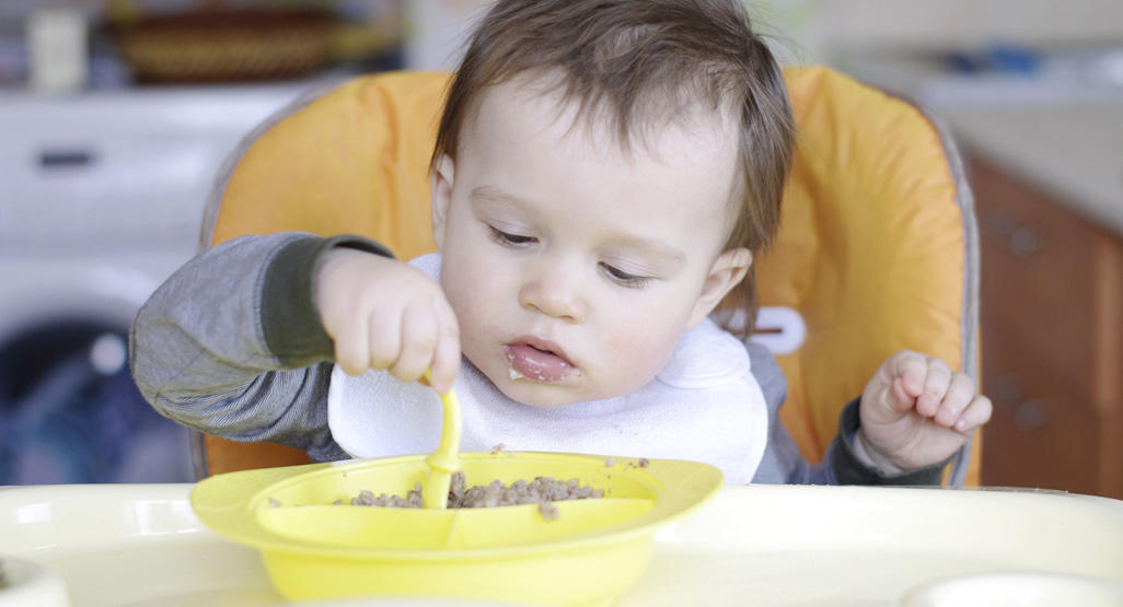 criança investigando a comida