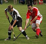 Shinty Bute.jpg