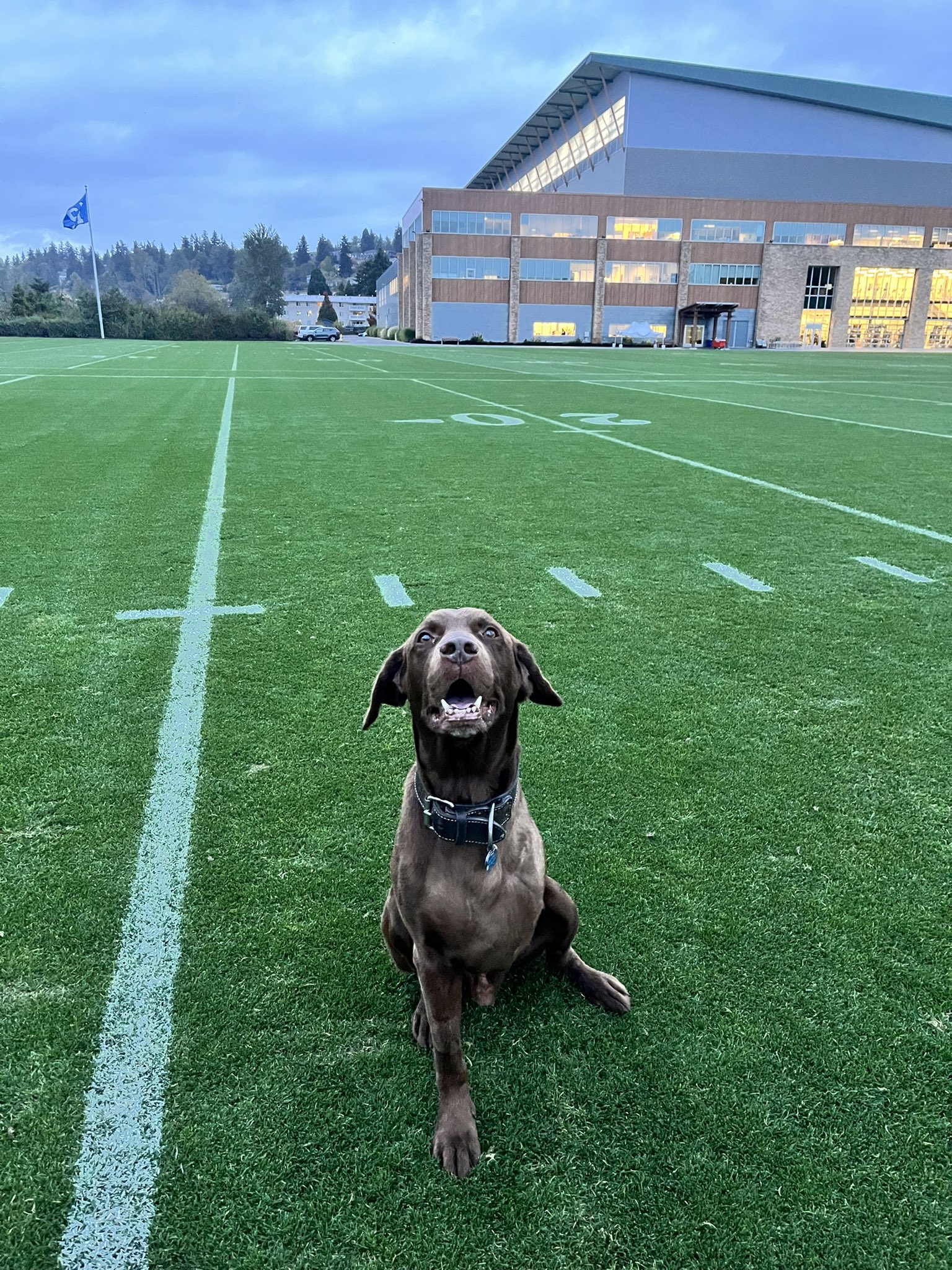 Big smile from Turf the Dog, on the fields at VMAC