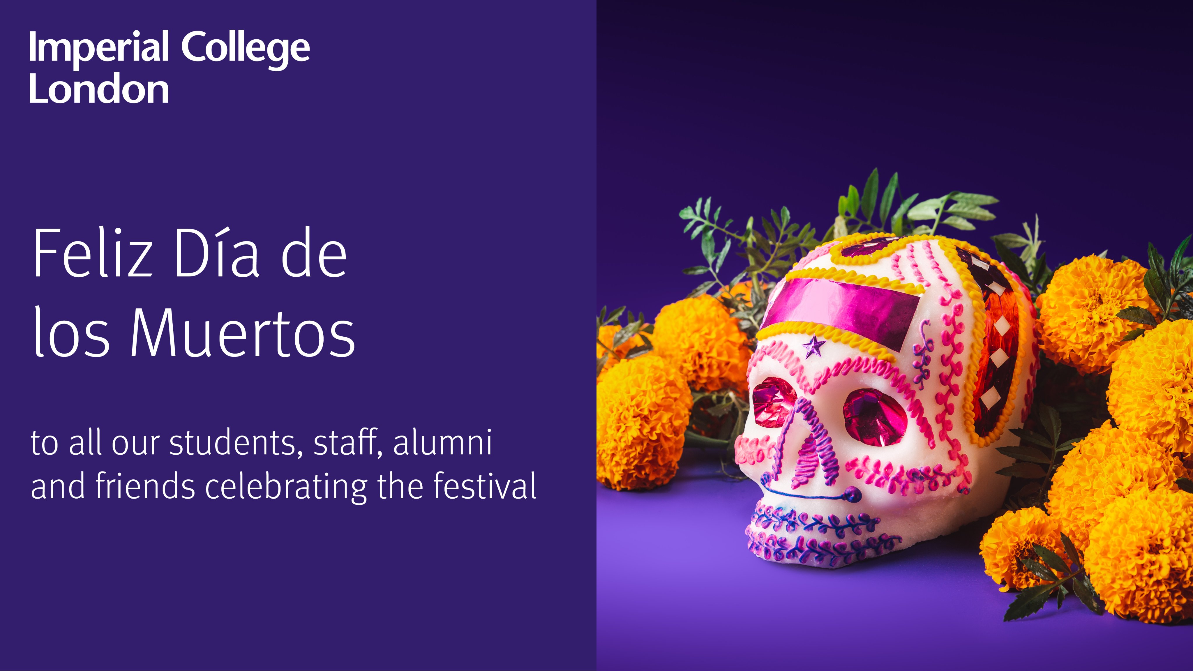 A decorated calavera surrounded by marigolds, the text to the left says "Imperial College London Feliz Día de los Muertos to all our students, staff, alumni and friends celebrating the festival"