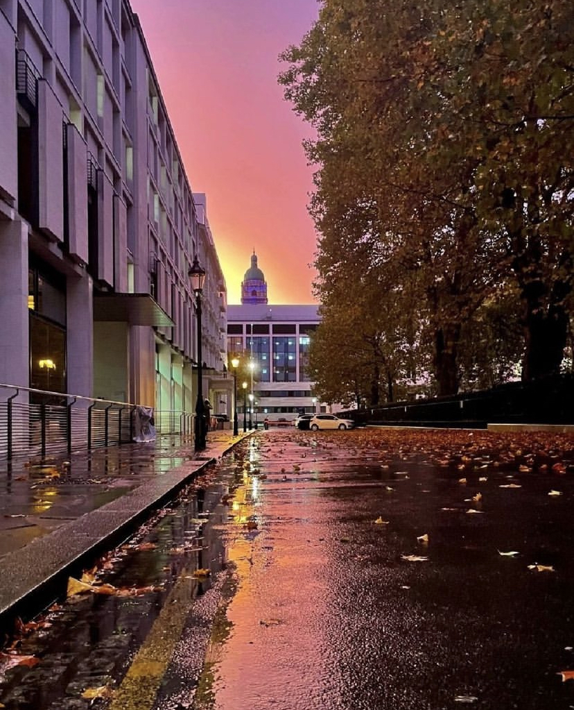 A pink sunset on Prince's Garden, autumn leaves stick to the rainy pavement