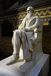 Statue of Darwin in Natural History Museum, London