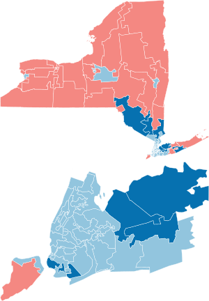 New York State Senate election 2018.svg