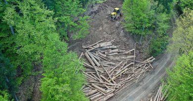 Građani traže zaustavljanje devastacije Konjuha: Prirodnom biseru prijeti nestanak