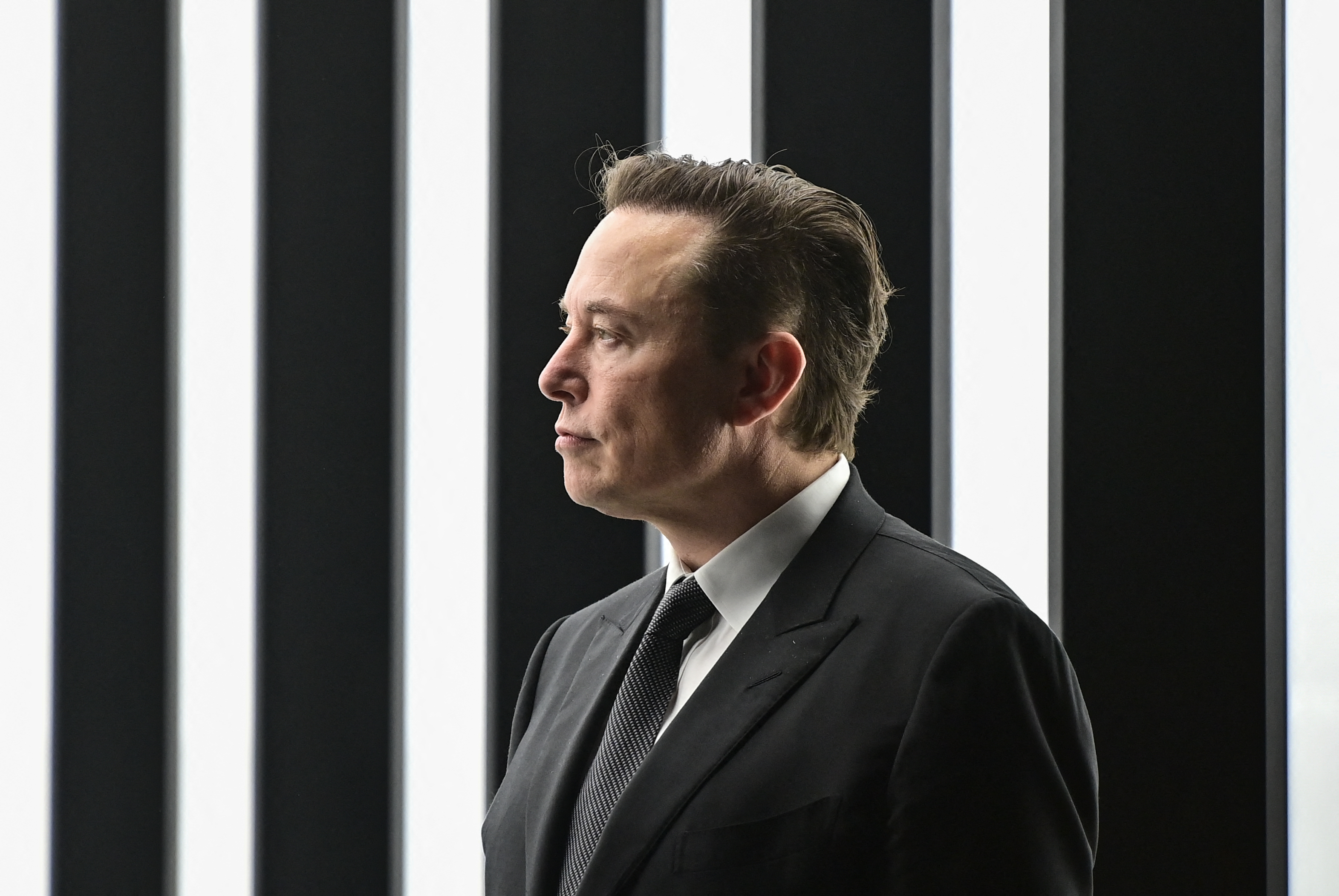 Elon Musk stands in front of a striped background.