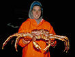 Redkingcrab.jpg