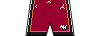 Kit shorts miamiheat statement.png