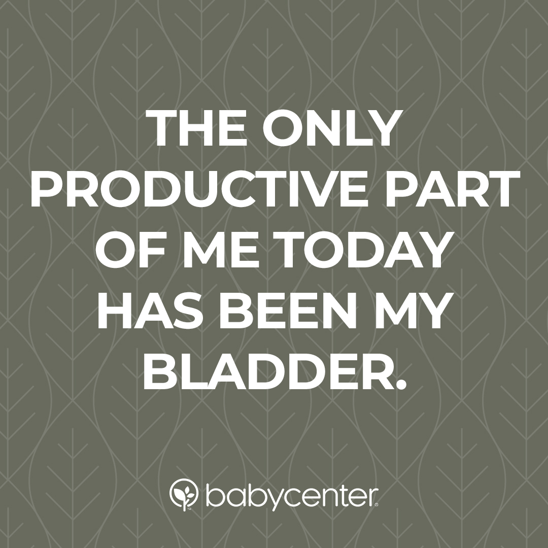 the only productive part of me today has been my bladder