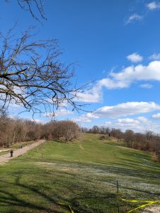 A meadow in Pittsburgh's Frick Park