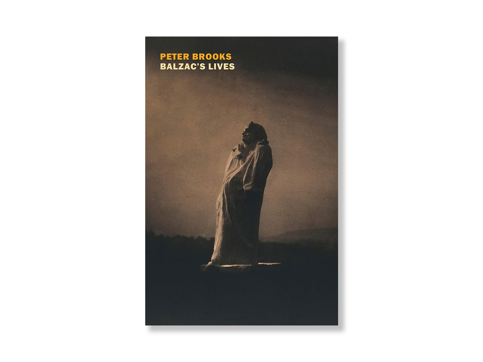 A statue in a dark room on a book cover.