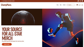 All website templates - Sport Merchandise Store