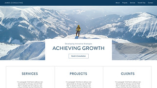 All website templates - Business Consulting Company 