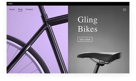 New bicycle website