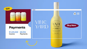 An eCommerce website selling wine with impressive payments and orders stats