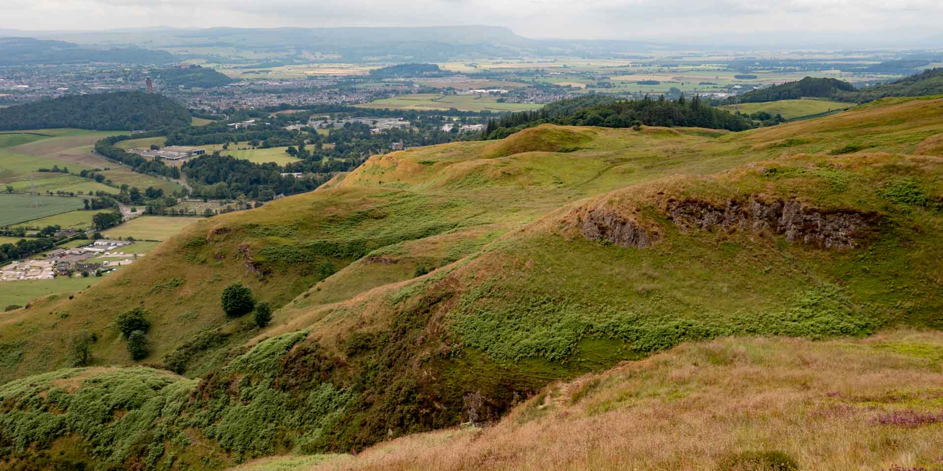 hero-our-forests-dumyat