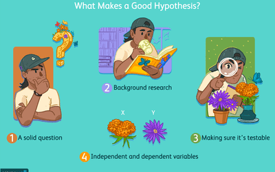 What makes a good hypothesis?