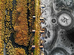 Luchtfoto van het Roztotsjia-biosfeerreservaat in de Oekraïense oblast Lviv