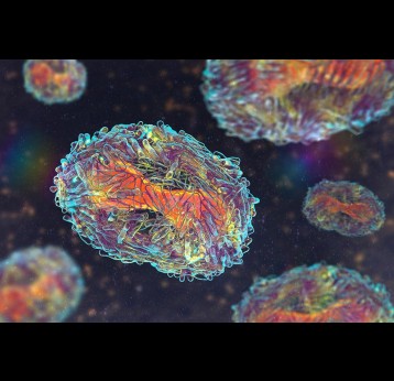 Mpox virus, 3D illustration.