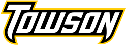 Towson Tigers wordmark.svg