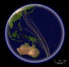 A map of the Pacific Ocean with several coloured lines representing bird routes running from New Zealand to Korea