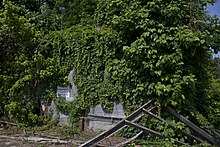 Bryant's Grocery (2018). By 2018, the store was described as "not much left" and given owner's demands, no preservation occurred.[228]