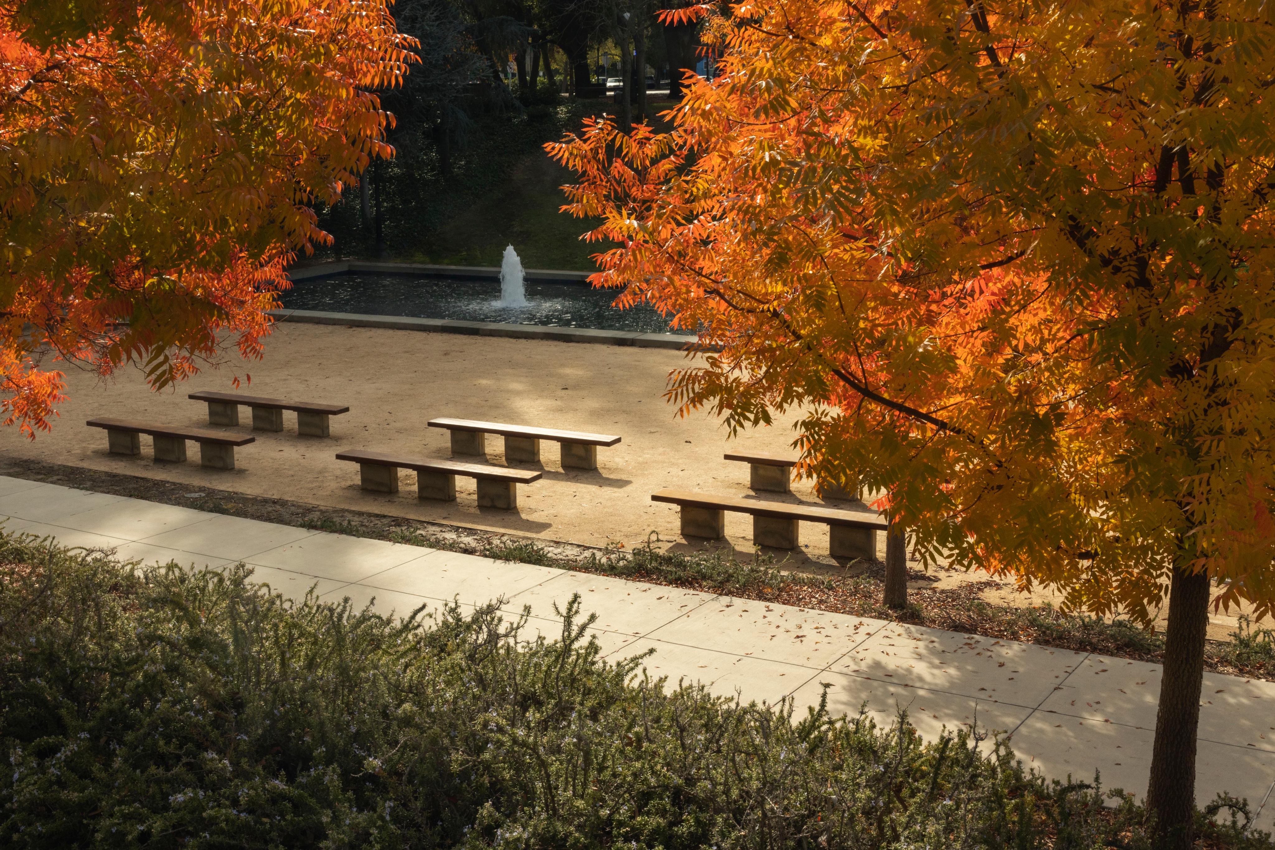 A glimmer of sunshine at Terman Fountain on a fall day