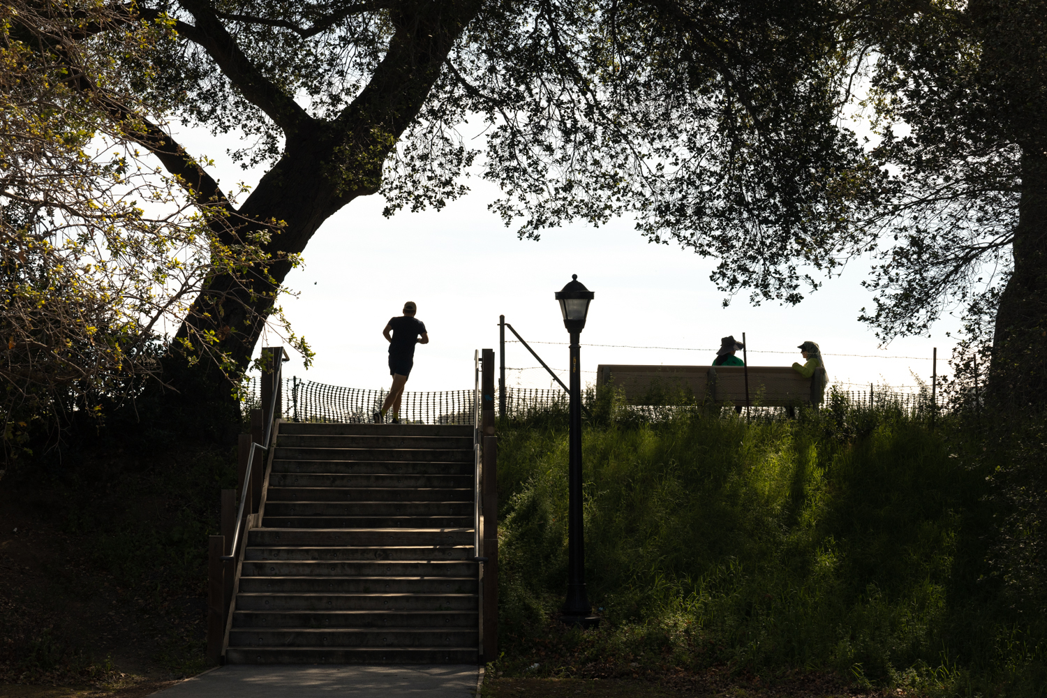 A person jogs up the steps for a run at Lake Lagunita