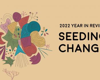 Seeding change in 2022: Reflections on a year of resilience in the APC network