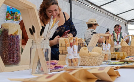 Presentan las novedades que tendrá la XXII versión de Feria Agrícola, Ganadera y Forestal en Cañete