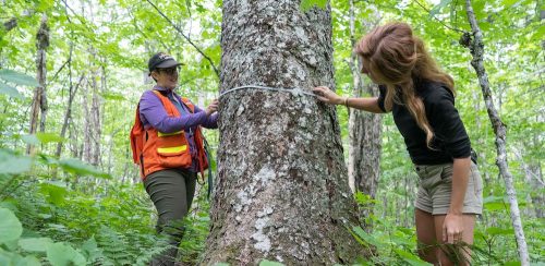 Community Forests International