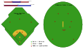 Cricket- och baseballplan