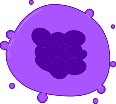 Megakaryocyte1.svg