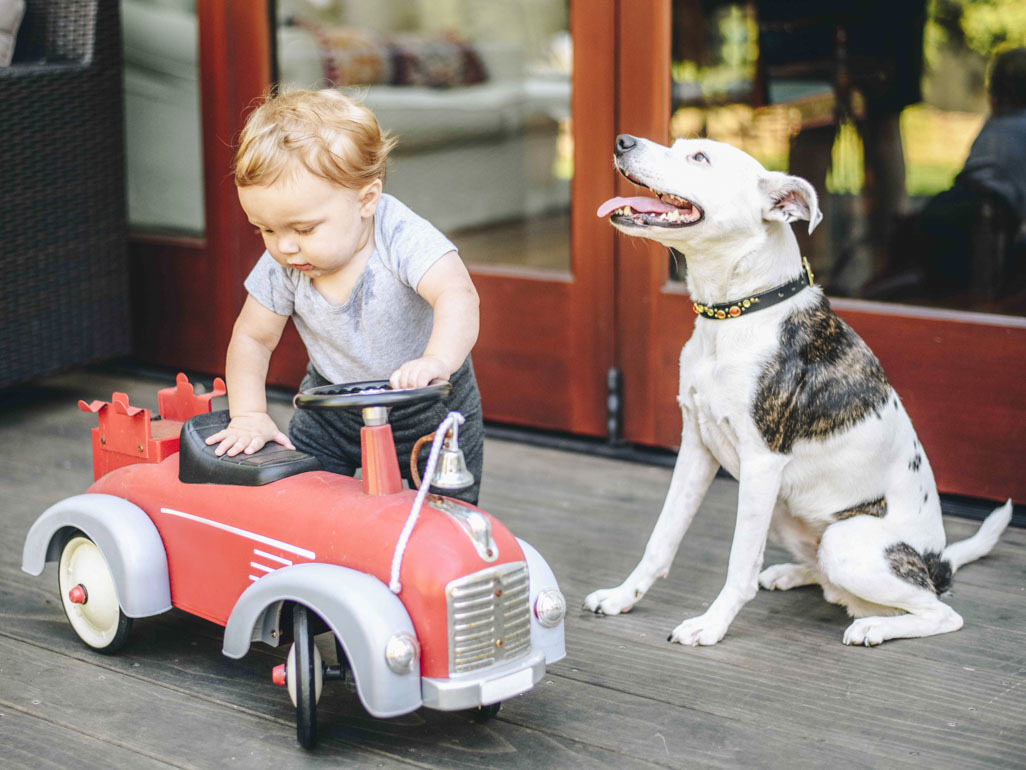 baby playing with firetruck ride-on with dog