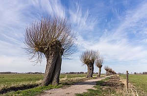 Schokland. UNESCO-Werelderfgoed actm 27.jpg