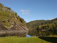 Stavnselva