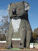 Giant Koala, Dadswells Bridge, Victoria, Australia.