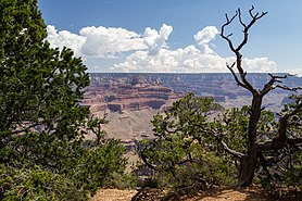 Grand Canyon (Arizona, USA), South Rim nahe Tusayan -- 2012 -- 5892.jpg